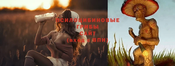 прущие крисы Богданович